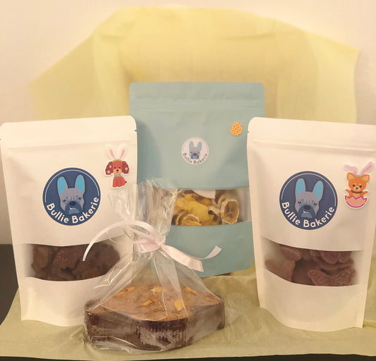 Why Celebrating Your Dog’s Birthday is More Than Just a Treat