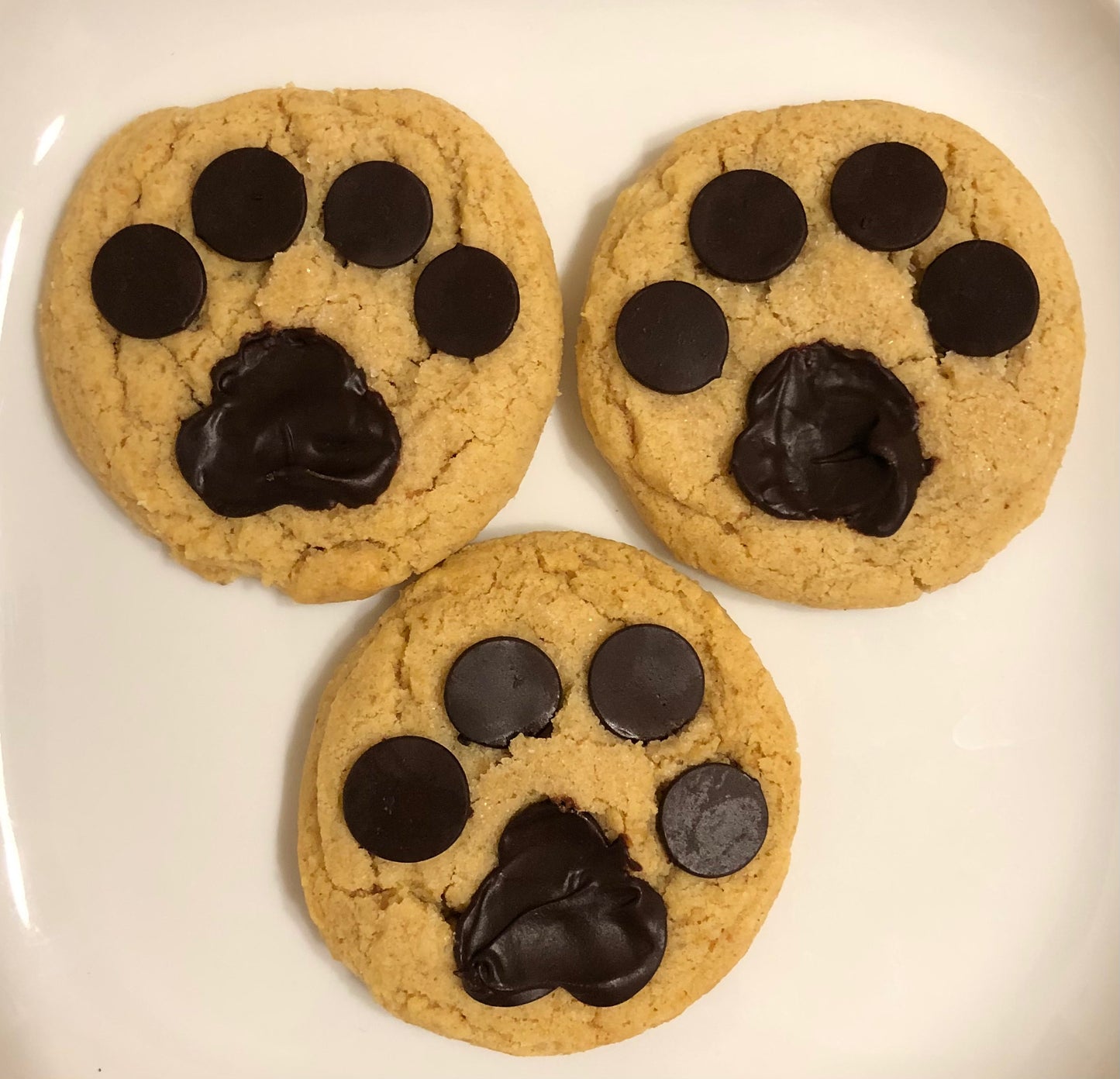 Peanut Butter Cookie