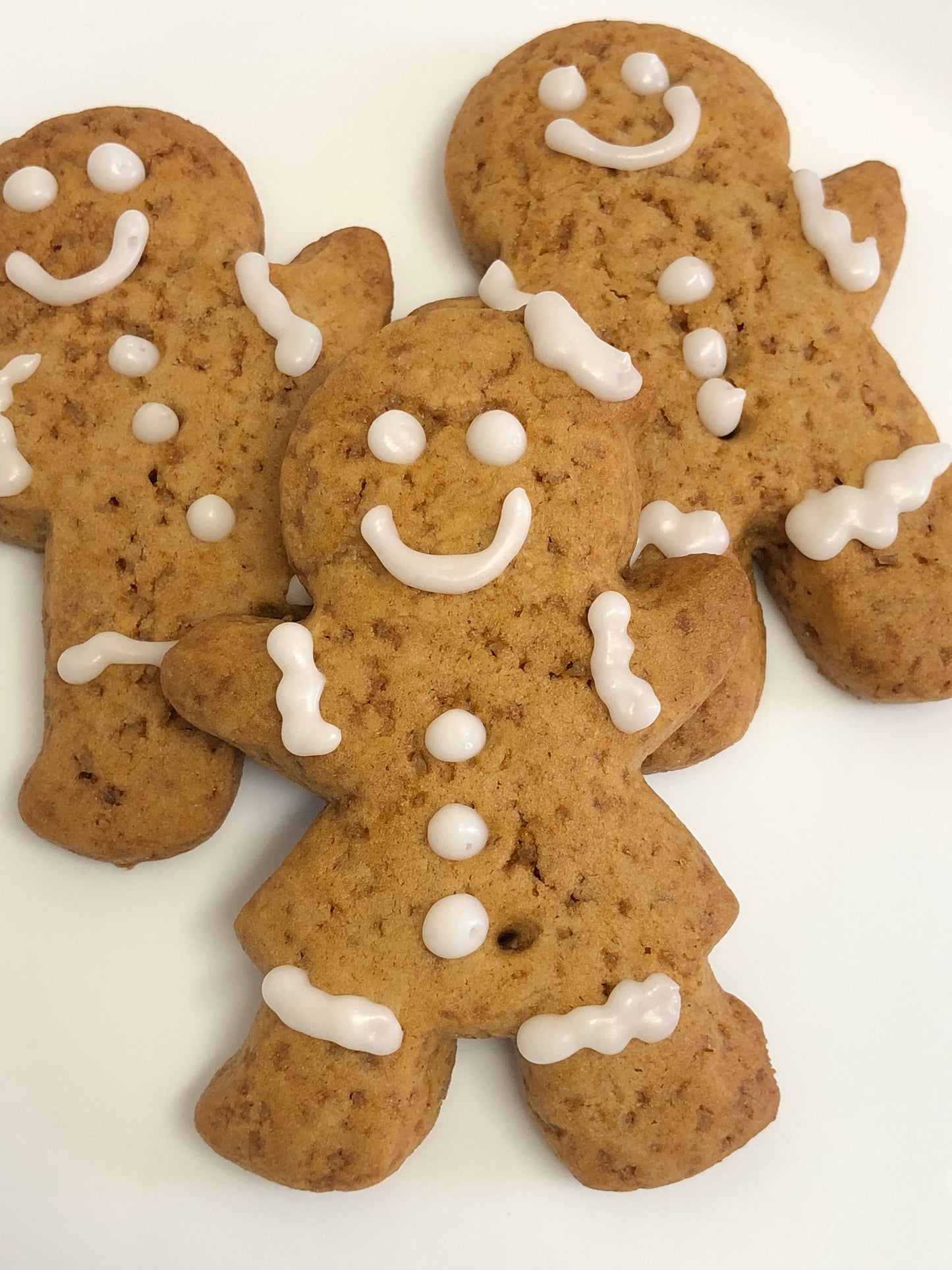 Gingerbread cookies (for humans)