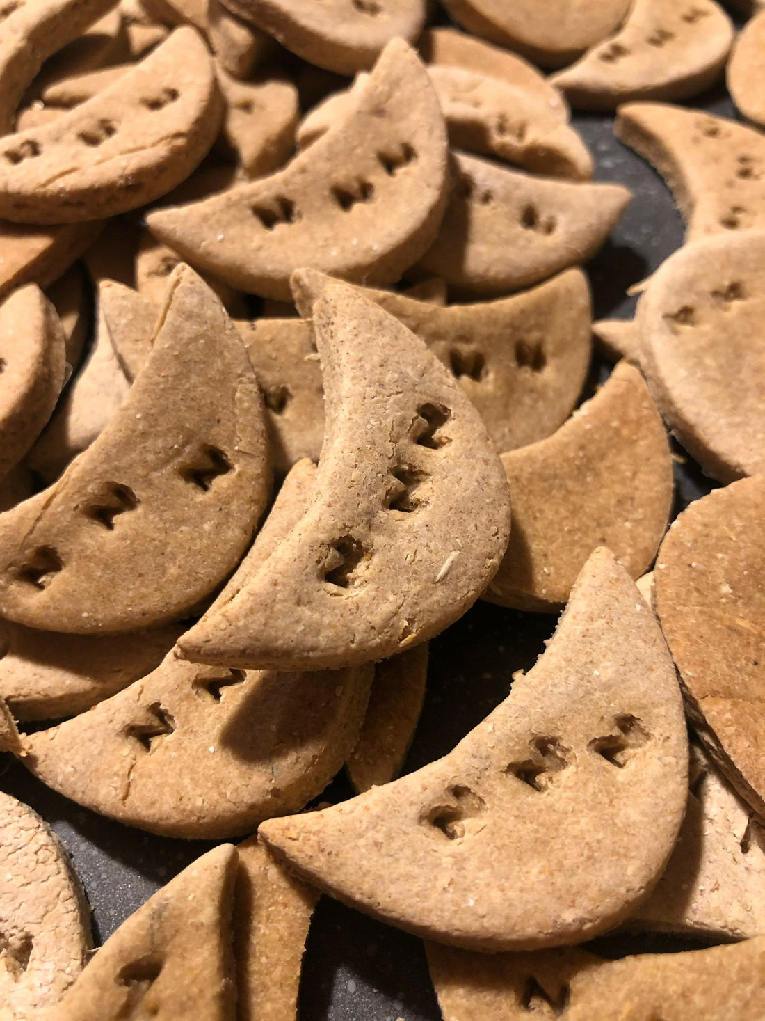 New Year, Better Nutrition: Starting the Year with Healthier Choices for Your Dog