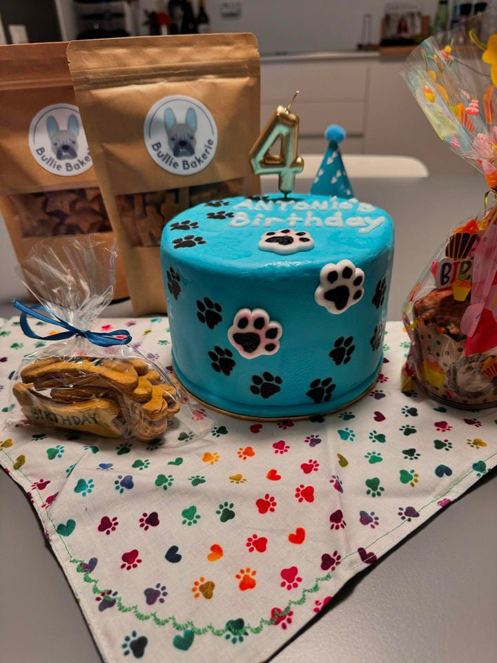 Fake Birthday Cake for Dogs - Large