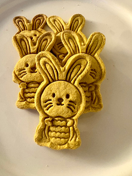 Apple + Carrot bunny