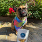 Cooling bandana