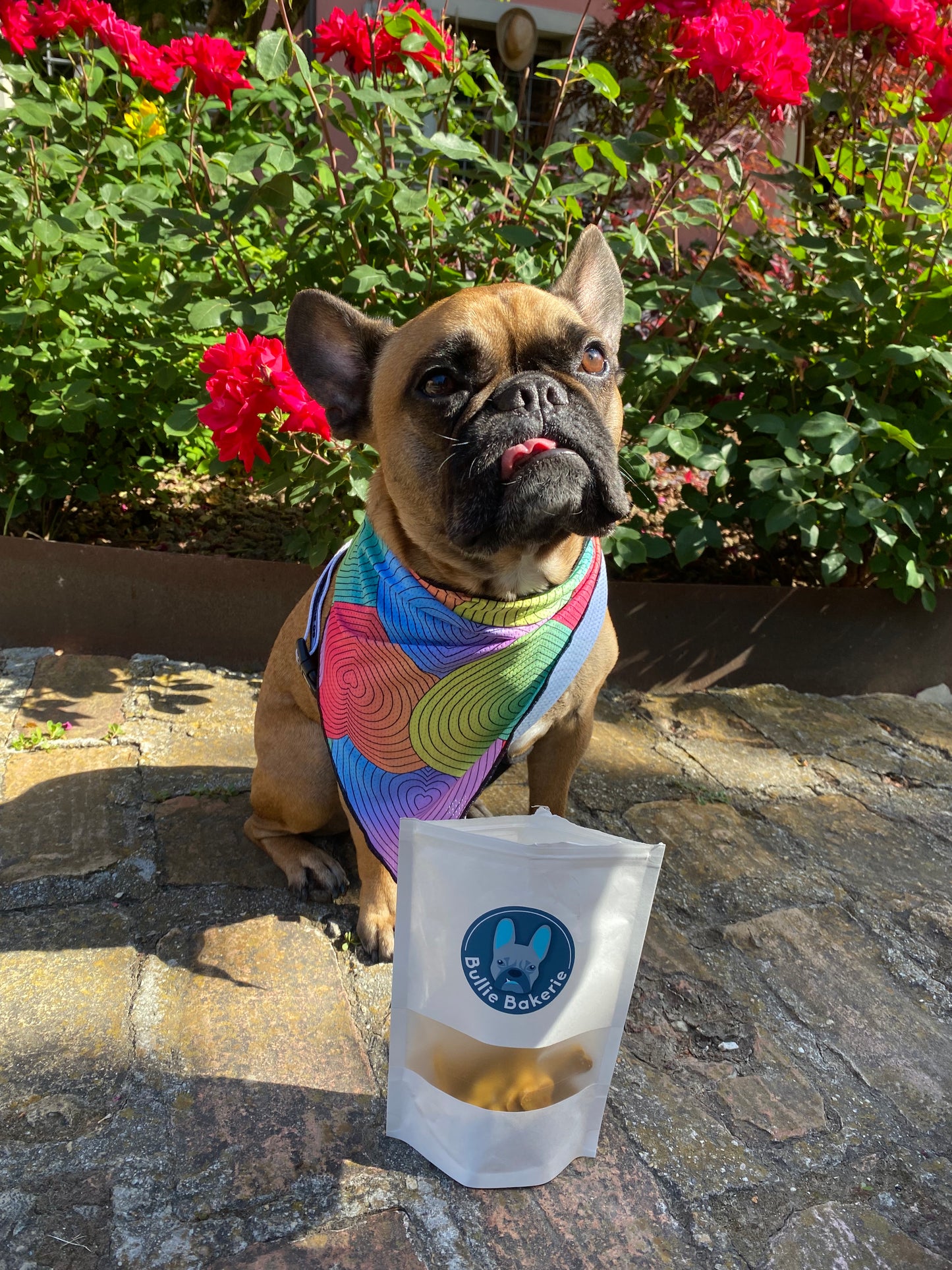 Cooling bandana
